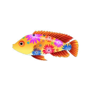 Mother's Day Cichlid